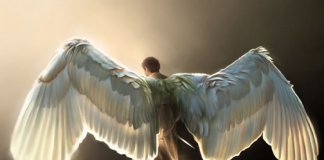 7 sinais que você está sendo visitado por seu anjo da guarda