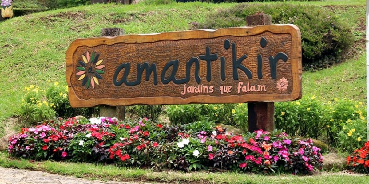 amantikir1