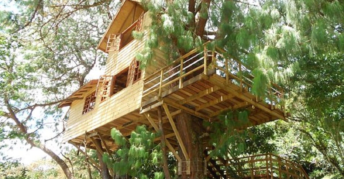 casa-na-arvore1