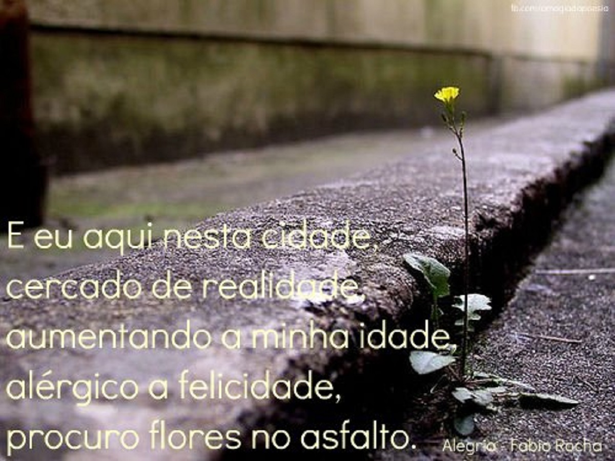 agrandeartedeserfeliz.com - A flor e a Náusea - Drummond