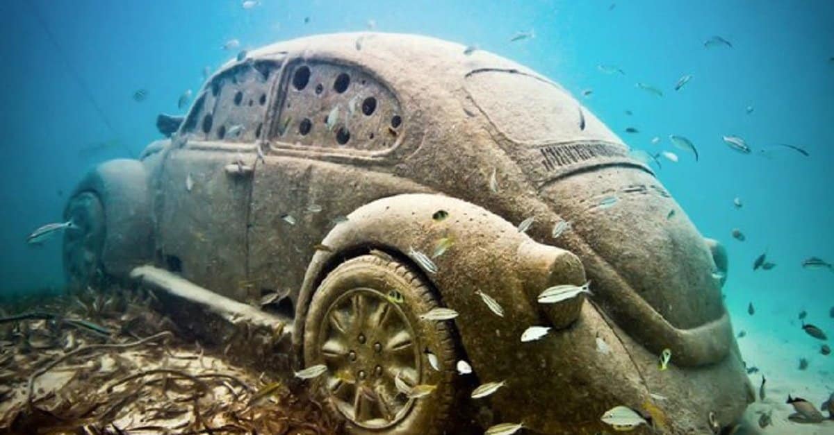 fusca1
