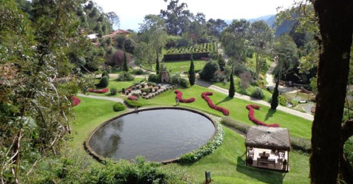 lago1