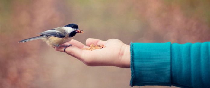 7 coisas sobre a vida que se você souber e entender te farão uma pessoa melhor