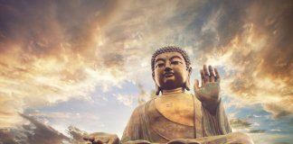 Os 3 venenos mentais segundo o Budismo