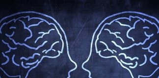 Os neurônios espelho, a imitação e a empatia