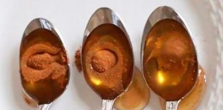 20 usos medicinais da incrível mistura de mel e canela