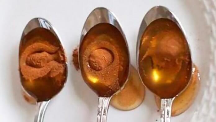 20 usos medicinais da incrível mistura de mel e canela