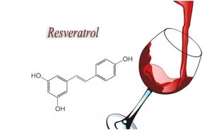 agrandeartedeserfeliz.com - Beba vinho, sua memória agradece