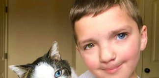 Vítima de bullying adota gato como ele: olhos e lábio leporino
