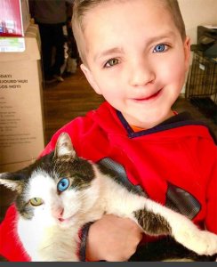 agrandeartedeserfeliz.com - Vítima de bullying adota gato como ele: olhos e lábio leporino