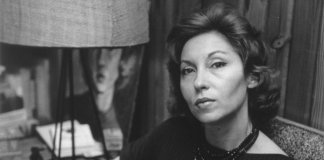 Das vantagens de ser bobo, texto por Clarice Lispector