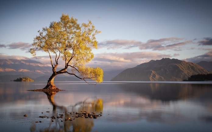 Deixe de ser um copo. Torne-se um lago!