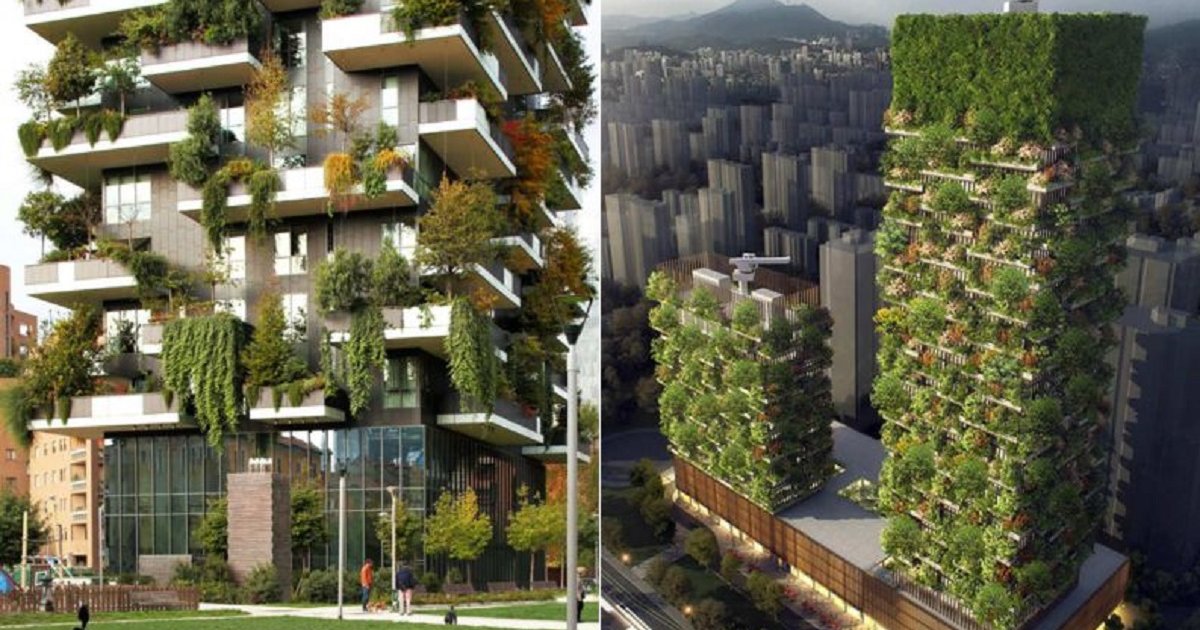 floresta-vertical-china-0217-1400×800