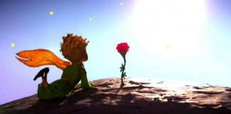“É loucura odiar todas as rosas porque uma te espetou” – O Pequeno Príncipe