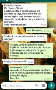 agrandeartedeserfeliz.com - Em conversa de Whatsapp Mulher rejeita vira-lata em adoção e conversa viraliza