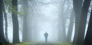 Teste do bosque, um exercício da psicanálise relacional