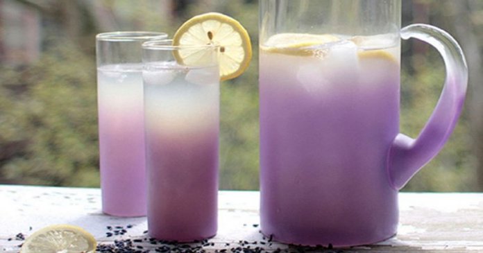 Limonada de Lavanda, a bebida que melhora a ansiedade e o estresse