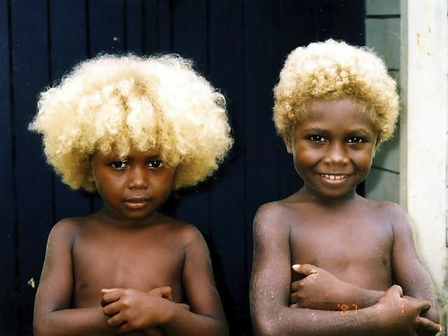 agrandeartedeserfeliz.com - Conheça os melanésios, os únicos negros do mundo com cabelos loiros naturais