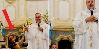 Padre recolhe cachorros de rua e os leva para missa, onde são adotados