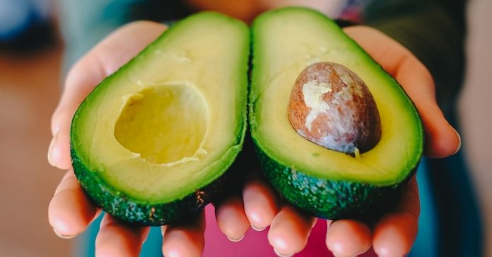 Comer uma porção de abacate por dia reduz o colesterol, a glicose e a depressão