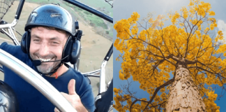 Piloto espalha sementes durante seus voos para reflorestar a cidade