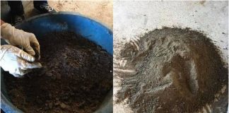 Estudantes brasileiros transformam óleo coletado nas praias em carvão