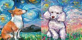 Artista homenageia Van Gogh e reproduz ‘A Noite Estrelada’ com cachorros