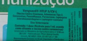 agrandeartedeserfeliz.com - As 4 principais fake news sobre o Coronavírus