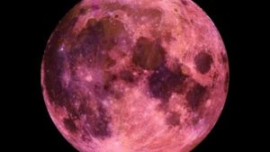 agrandeartedeserfeliz.com - SUPERLUA ROSA acontece hoje. Ela é encantadora!