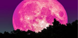 SUPERLUA ROSA acontece hoje. Ela é encantadora!