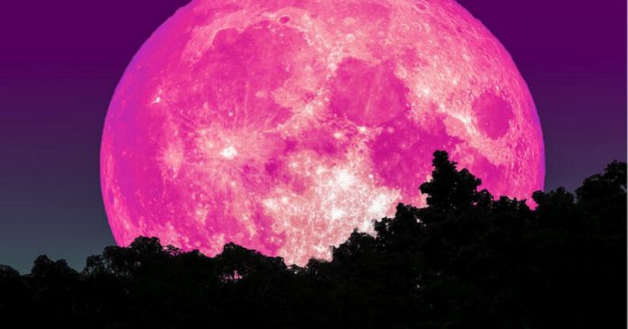 SUPERLUA ROSA acontece hoje. Ela é encantadora!