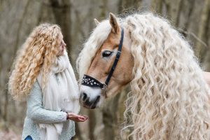 agrandeartedeserfeliz.com - Conheça Storm, a égua conhecida por Rapunzel do reino animal graças a sua magnífica crina