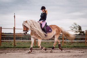 agrandeartedeserfeliz.com - Conheça Storm, a égua conhecida por Rapunzel do reino animal graças a sua magnífica crina