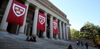 Harvard libera mais de 100 cursos online gratuitos com certificado durante quarentena