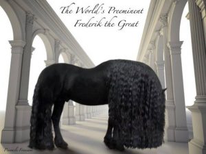 agrandeartedeserfeliz.com - Conheça Frederick, o cavalo mais bonito do mundo