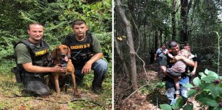 Cão salva menino autista de 3 anos desaparecido na floresta. Veja Vídeo