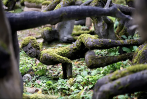 agrandeartedeserfeliz.com - Por 50 anos, artista criou jardim de esculturas escondido nas florestas finlandesas