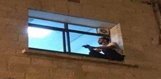 Homem escala parede de hospital para se despedir da mãe com covid-19