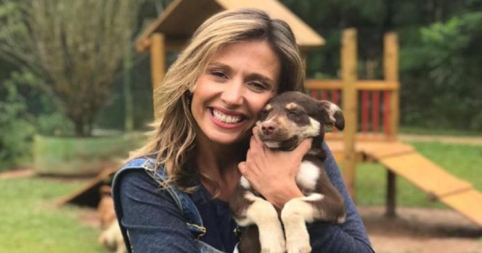 Luisa Mell detona radialista que sugeriu envenenar cães de rua