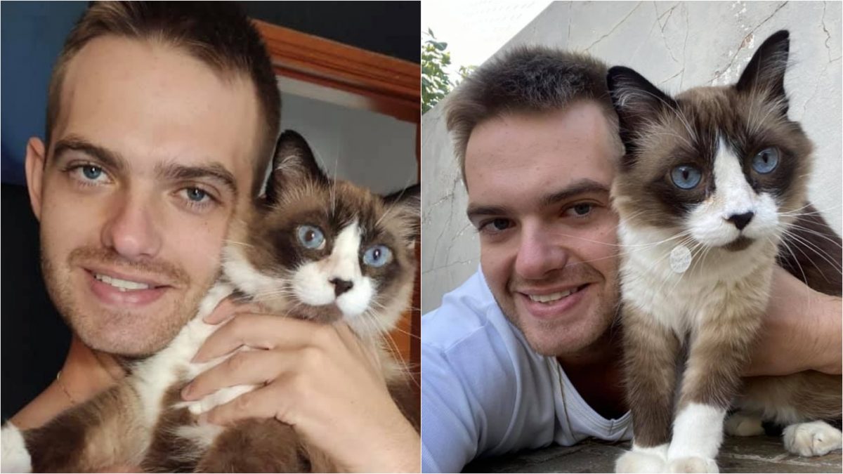 agrandeartedeserfeliz.com - Gatinho ajuda seu jovem dono a superar depressão: 'Preenche minha solidão'