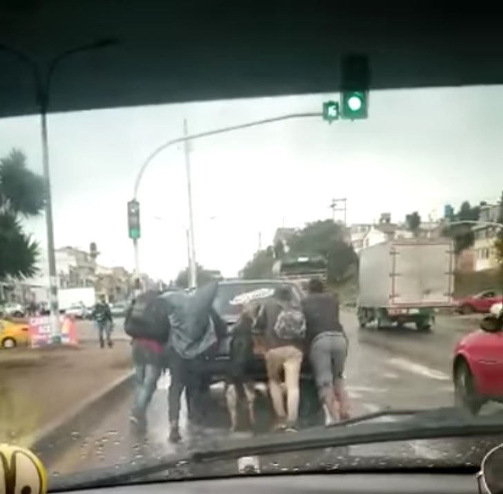 agrandeartedeserfeliz.com - Cachorrinho solidário é flagrado ajudando seus tutores a empurrar carro estragado na rua