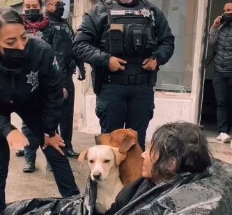 agrandeartedeserfeliz.com - Moradora de rua idosa dormia em saco de lixo com seus cães para se refugiar do frio