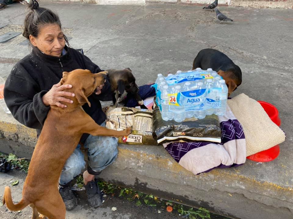 agrandeartedeserfeliz.com - Moradora de rua idosa dormia em saco de lixo com seus cães para se refugiar do frio
