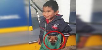 Foto de menino humilde que trabalha como ambulante levando cachorrinho em bolsa comove internet