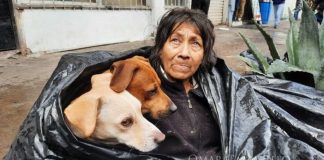 Moradora de rua idosa dormia em saco de lixo com seus cães para se refugiar do frio