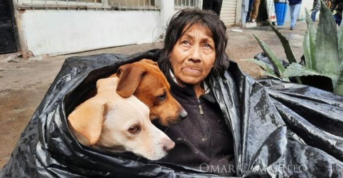 Moradora de rua idosa dormia em saco de lixo com seus cães para se refugiar do frio