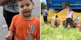 Menino pede para comprar laranjas de caminhão capotado na rodovia e viraliza: ‘Para que roubar?’