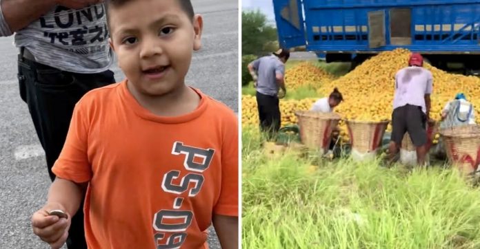 Menino pede para comprar laranjas de caminhão capotado na rodovia e viraliza: ‘Para que roubar?’