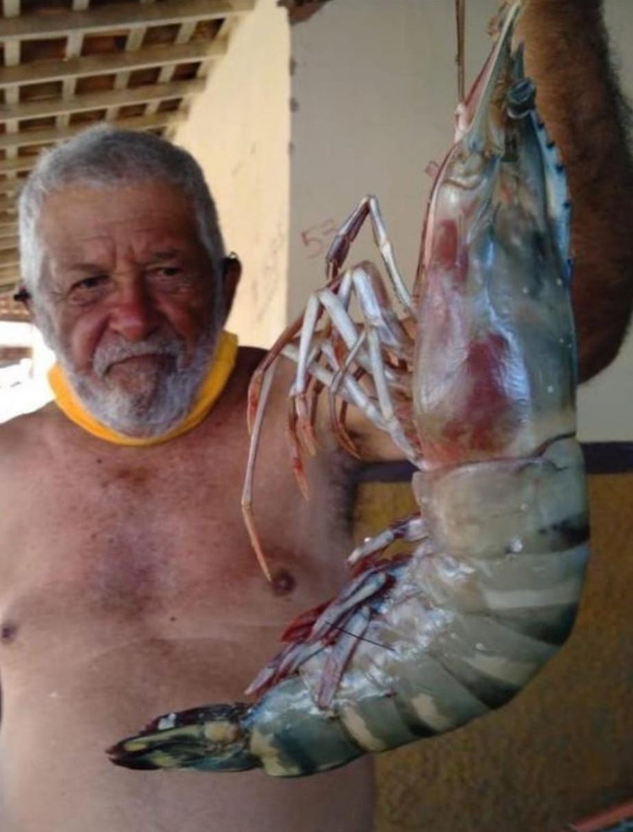 agrandeartedeserfeliz.com - Idoso de 80 anos pesca 'camarão gigante' de 400 gramas e 50 cm de comprimento no RN