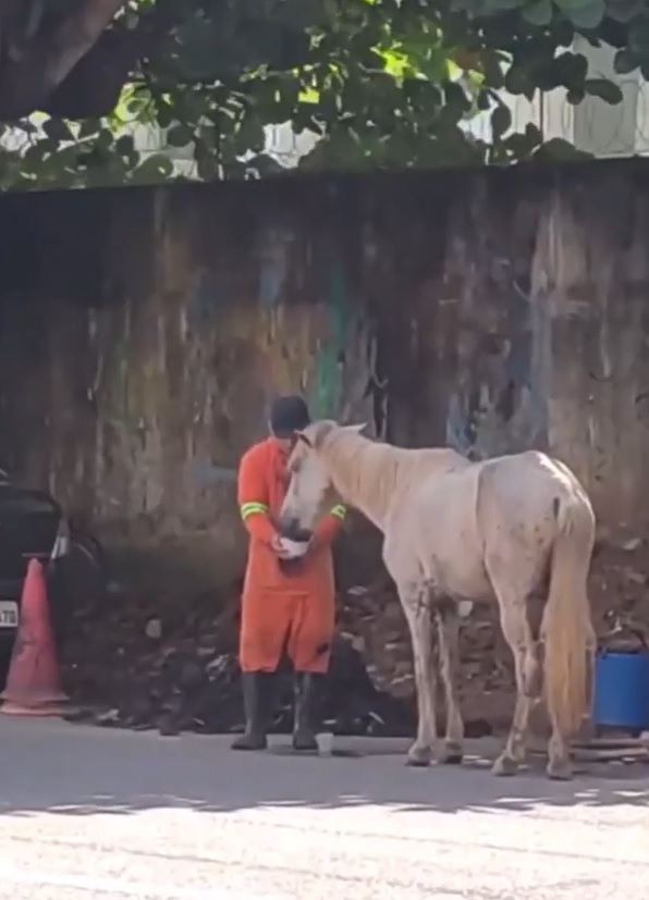 agrandeartedeserfeliz.com - Gari para tudo que estava fazendo para dar água para cavalo que passava mal em rua de Belém (PA)